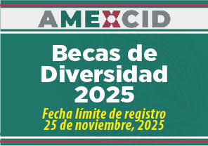 Becas de Diversidad, -Gulf University -AMEXCID